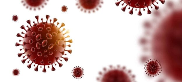 covid 19 coronavirus white background isolate 176915203 scaled 1