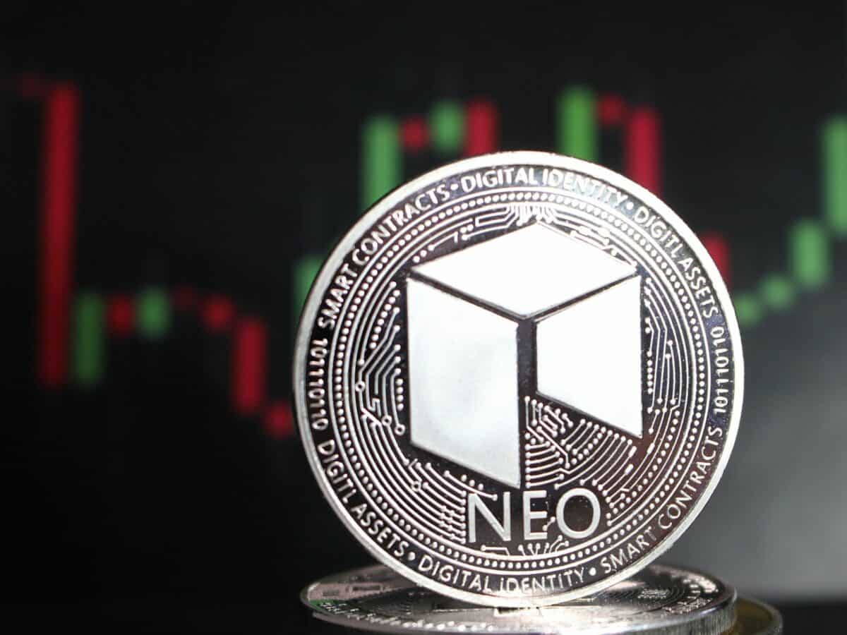 What is Neo NEO A Beginner s Guide to Neo