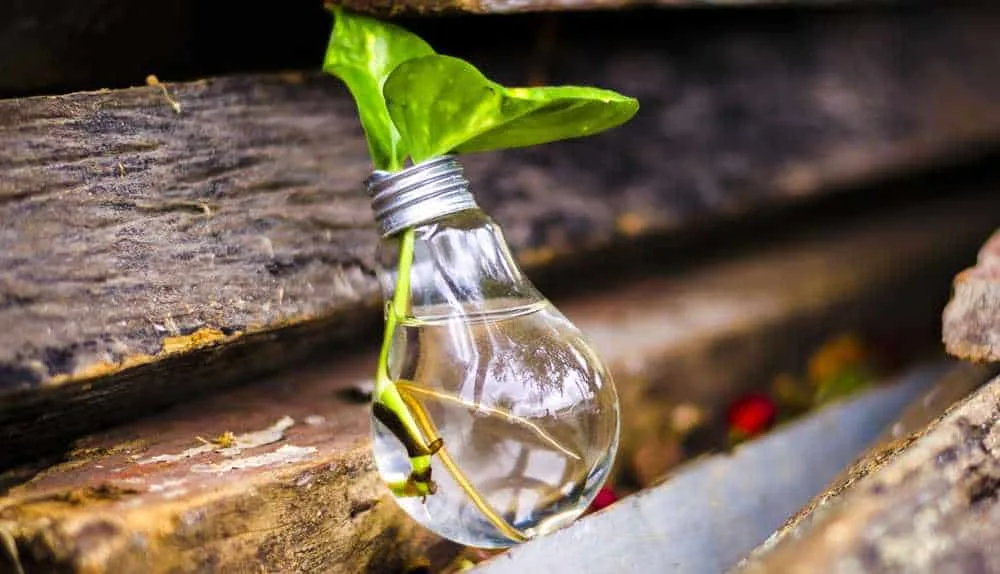 product ideas for 2023 product ideas for 2023