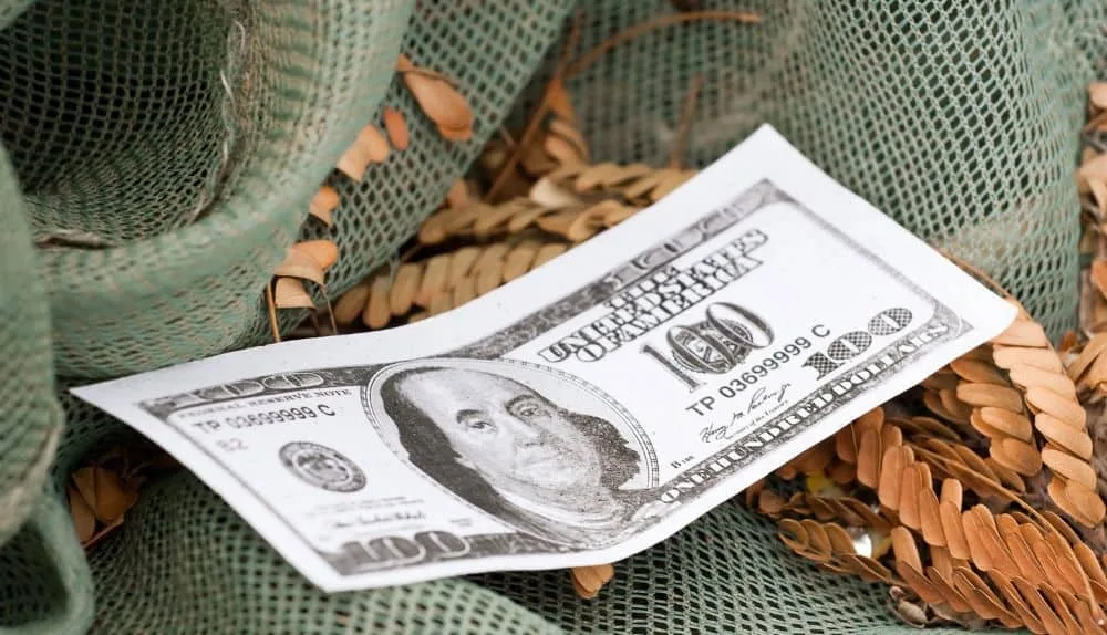 What Should You Do if You Think You Have a Fake Bill?
