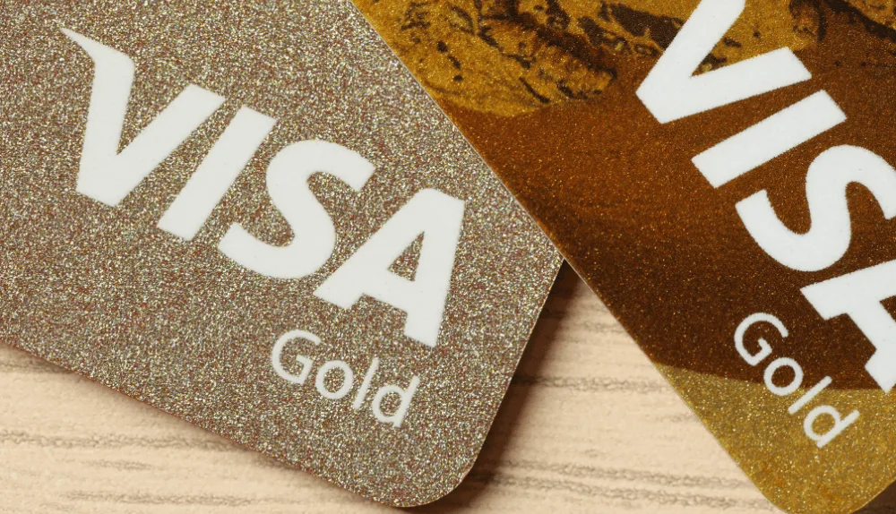 Visa visa