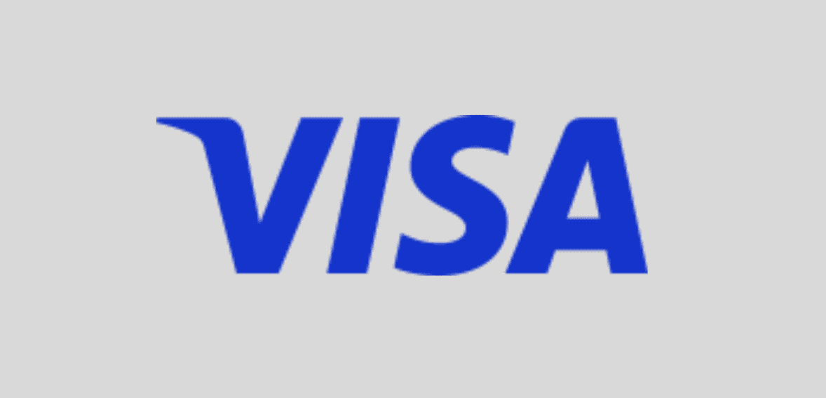 Visa payment logo on a gray background.