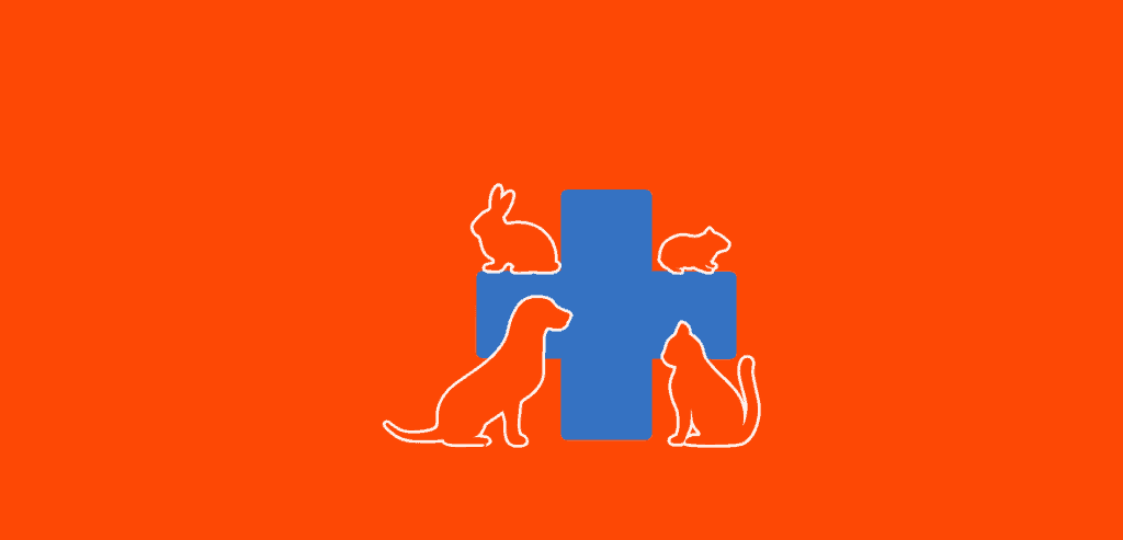 2 28 1024x493 1