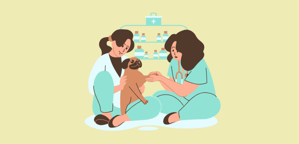 Veterinary Practice 1024x493 1