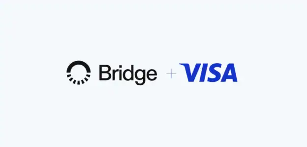 Visa Bridge Partnership