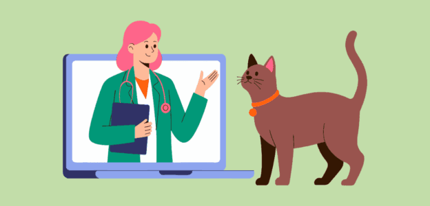 Online payment solutions for veterinary clinics and pet care businesses.