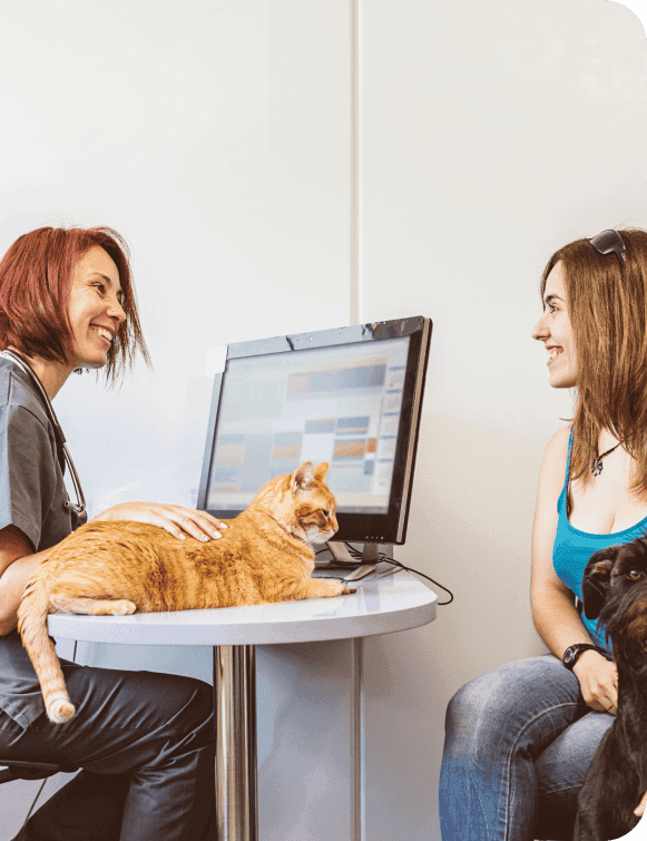 Friendly customer service representative with a cat at the computer talking to a client.