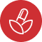 Flexible credit card processing solutions for businesses of all sizes.