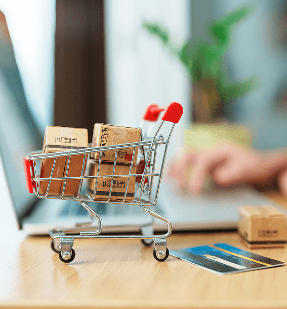 Secure online payment processing for e-commerce merchants and retail businesses.