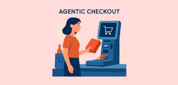 Agentic Checkout