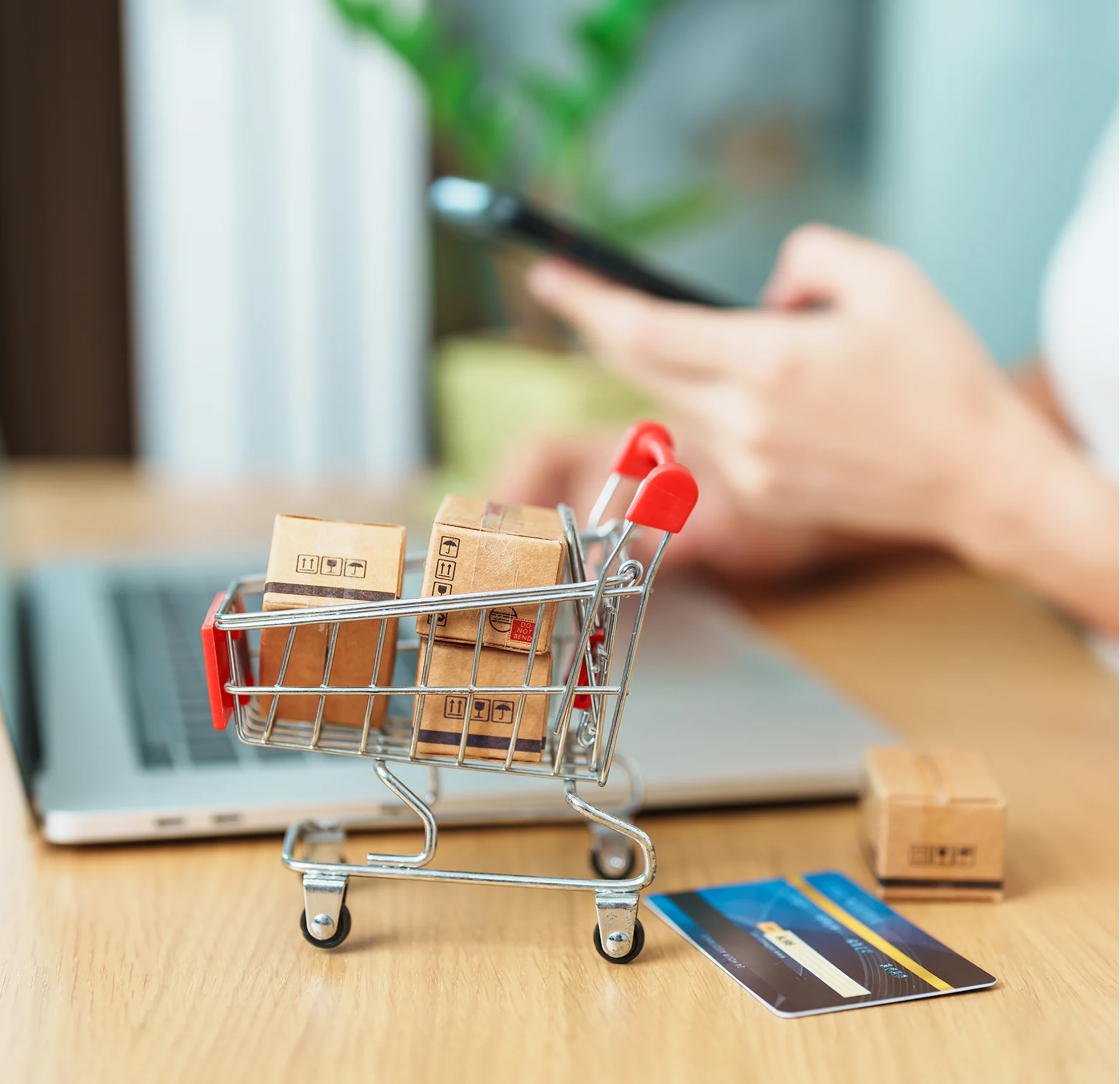 Card Not Present Transactions E Commerce Keyed