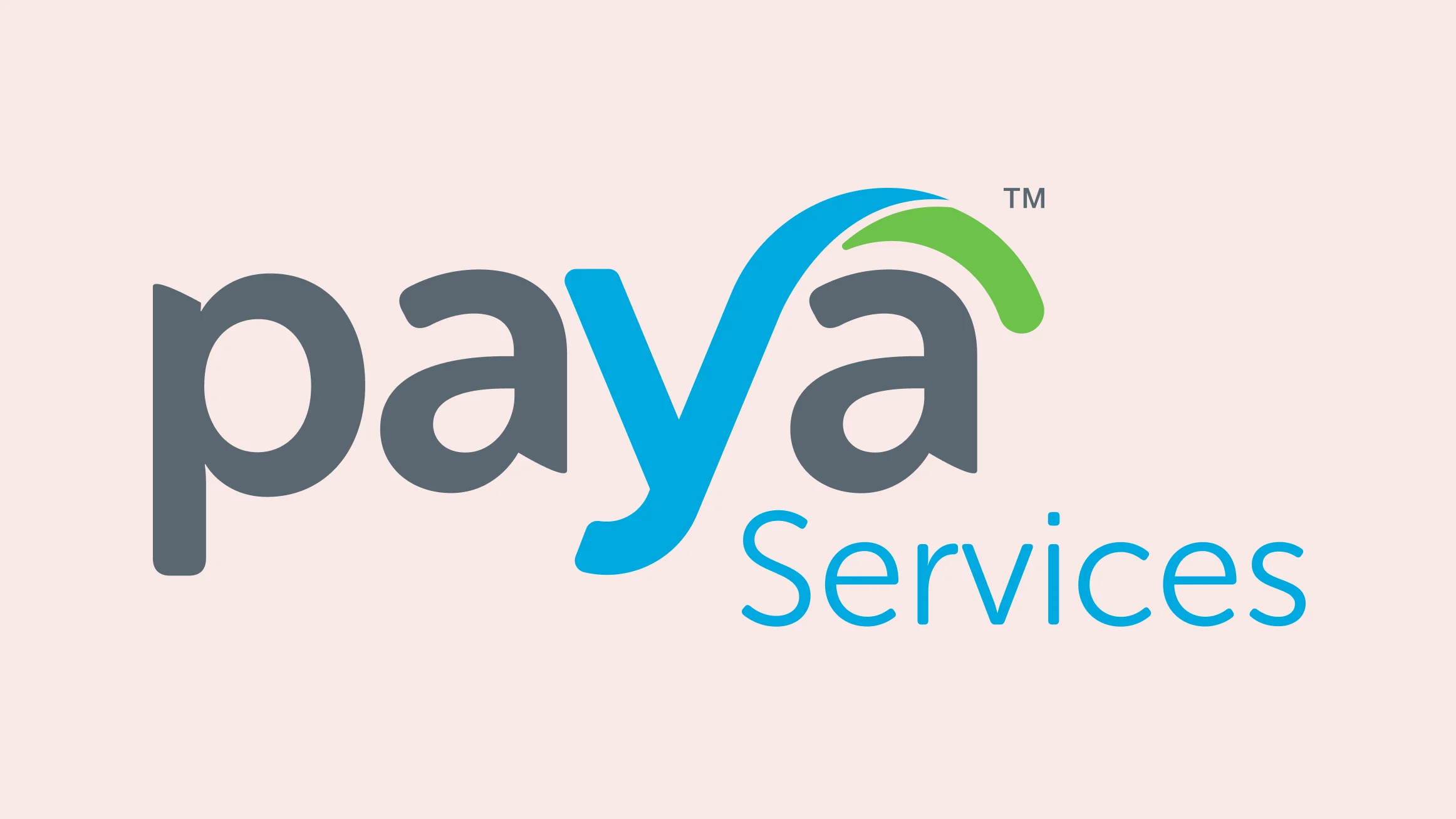 Paya Services logo representing ACH debit and credit payment processing for consumer and B2B transactions